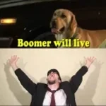 Boomer Will Live