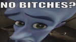 No bitches