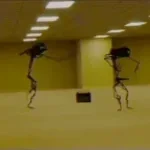 Looping The Rooms