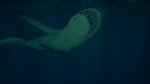 Sea of Thieves OST The Megalodon