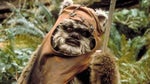 Ewok talking