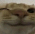 vpravo vlevo Japssii rainmerge