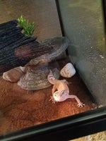 All they fear is you