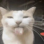 el señor bigotes/SEB