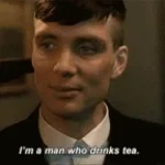 YESS W STEAL TEA KETTLE