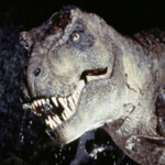 Dinosaur growl