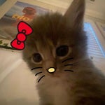 Christmas Kids Jerk Flip