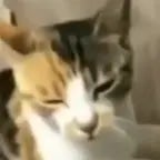 MEMEMEMEMEMEMEMEPKLAOSKDASKDNAWMDM;KK!"§!&""§ JASDNA