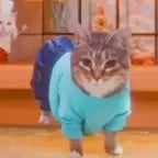 Oia Steve Lava Chicken