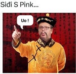 Tanja Savic Zlatnik ( Fraze Mashup )