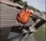 Quadro Napendo Turbo Motores - Sound