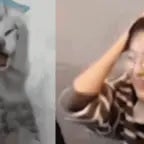 화난고양이_Recording 08/12/25 13:42:23