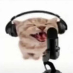Roblox Huh Sound Effect