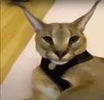 inkling girl voicefdefeat05