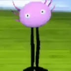 masculine 67 femboy twerking