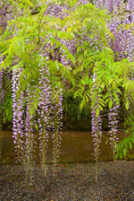 Vine boom sound effect - Sound