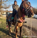 GOSHI GOSHI GOSHI GOSHI