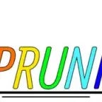 Sprunki Multishift chase theme