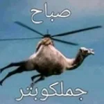 merry indian christmas (copy)