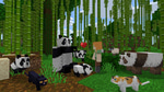 Panda - Aggressive 1
