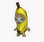 Banana cat