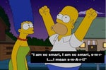 Homer Simpson : The Simpsons Pay you?