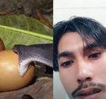 พม่างง - Sound