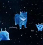 im blue cat