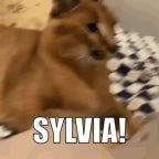sylvia