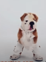 The Mimic Ringmaster Chase Theme