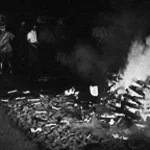 1933 Book Burning Goebbels
