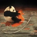 panda at your service