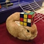 ich bin ein heidelberger - Sound