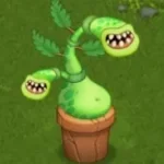 Potbelly plant island