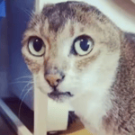 v12044gd0000cng2m3fog65qcpcjssh0 [AudioTrimmer