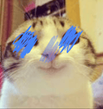 huh