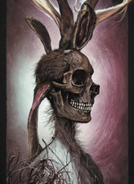 spooky run rabbit