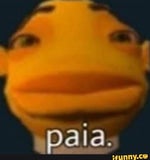 coloquei um peixe de 40cm no brioco