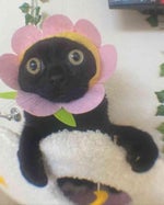 My name is Patrick Bateman American Psycho