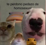 pucta, que rico he!!, plantilla