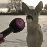 Sept à Huit (Interview)