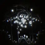 expendable at door 30