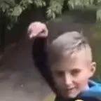 Baby Bust It Down - Sound