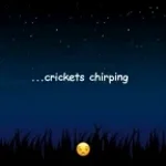 crickets-sound-effect_2U1KzbW
