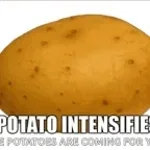 Potato
