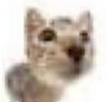 gagnam style muffled