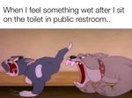 Screamng in public restrooms