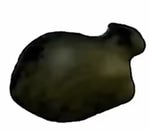 Ollaolla cat x mingle song