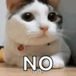 no elliot freestyle slowed