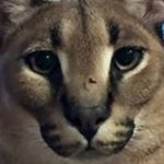 national anthem of the ussr